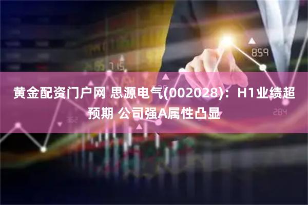 黄金配资门户网 思源电气(002028)：H1业绩超预期 公司强Α属性凸显